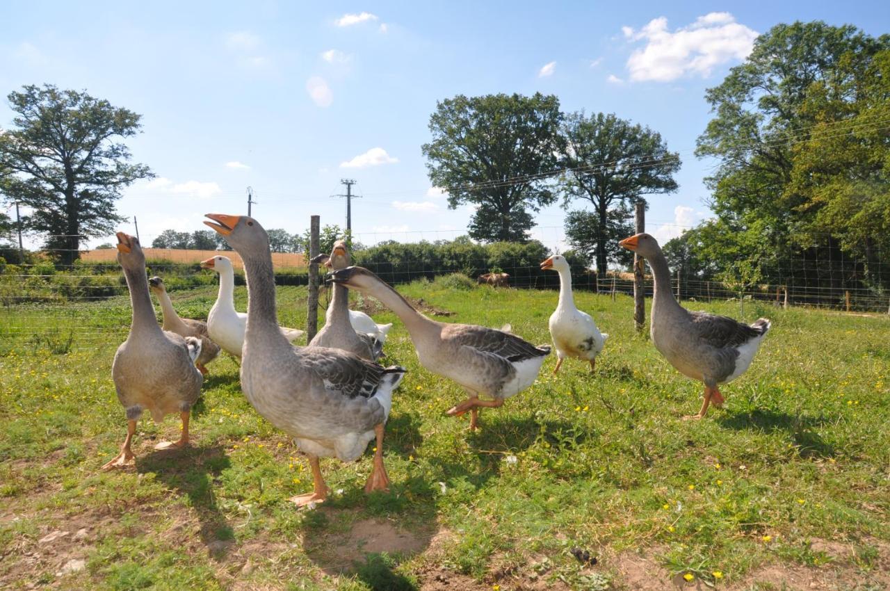 La Ferme Aux Cinq Sens Villa Bussiere-Boffy Exterior foto